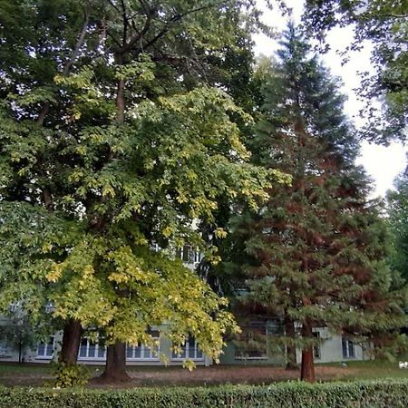 Апартаменты Illusion New Сараево Экстерьер фото