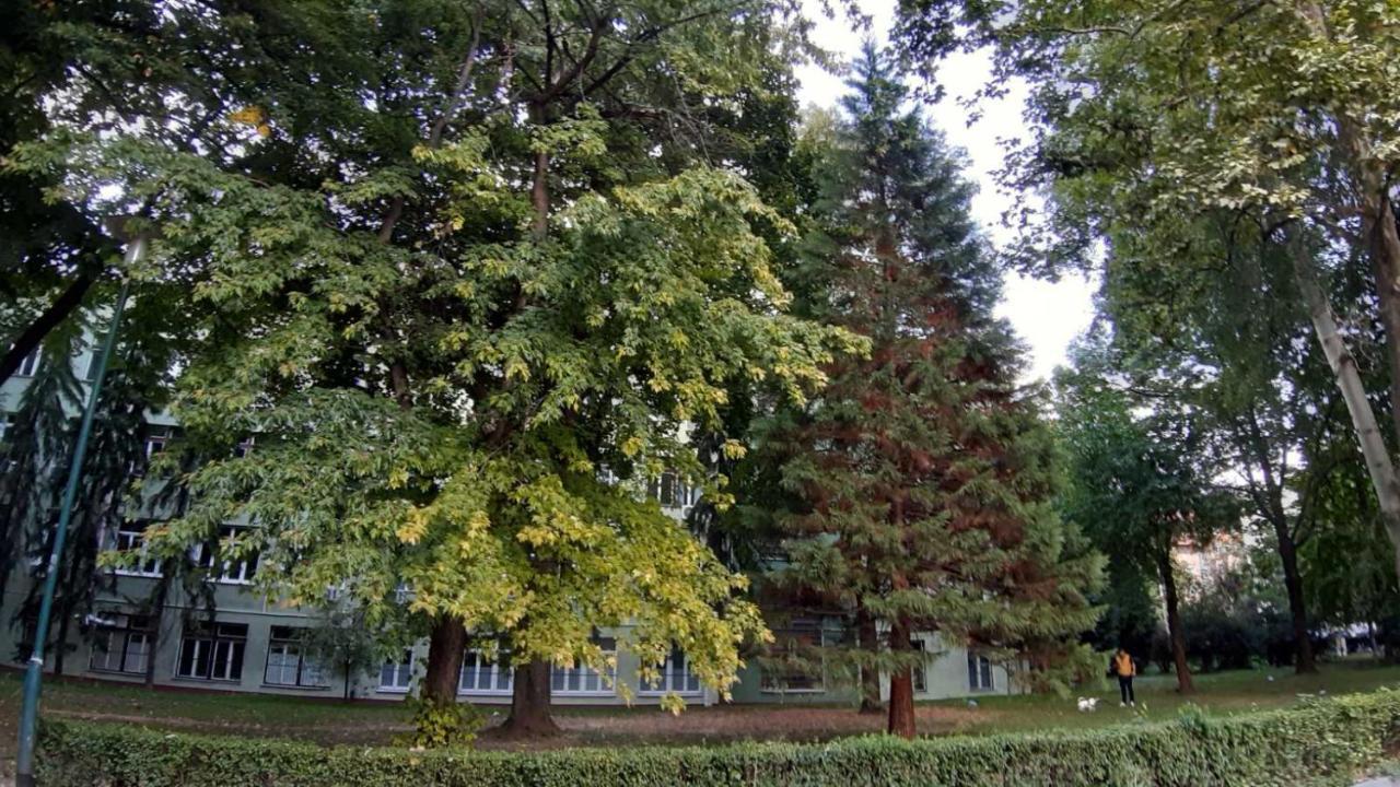 Апартаменты Illusion New Сараево Экстерьер фото